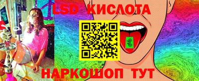 гашик Будённовск