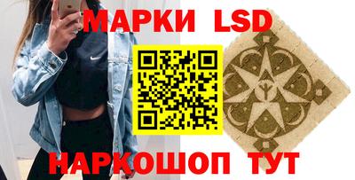 гашик Будённовск