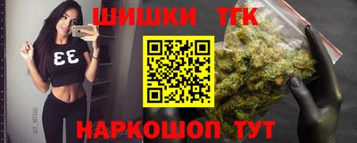 гашик Будённовск