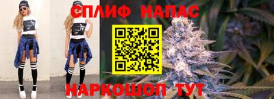 гашик Будённовск