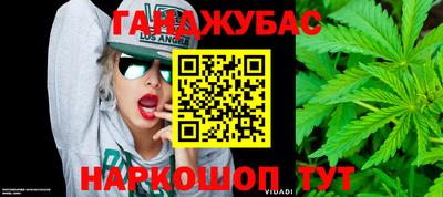 гашик Будённовск
