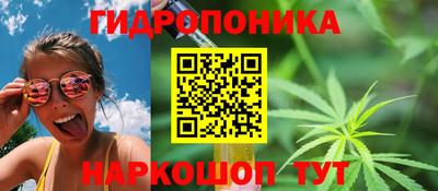 гашик Будённовск