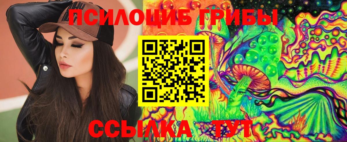 Псилоцибиновые грибы GOLDEN TEACHER  наркошоп  Вход с VPN  Тавда  Галлюциногенные грибы мухоморы 